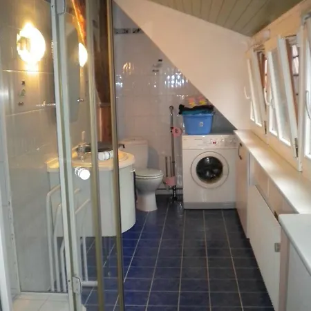 Ferienwohnung Au Chasseur Colmar Exterior foto