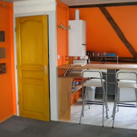 Ferienwohnung Au Chasseur Colmar Exterior foto
