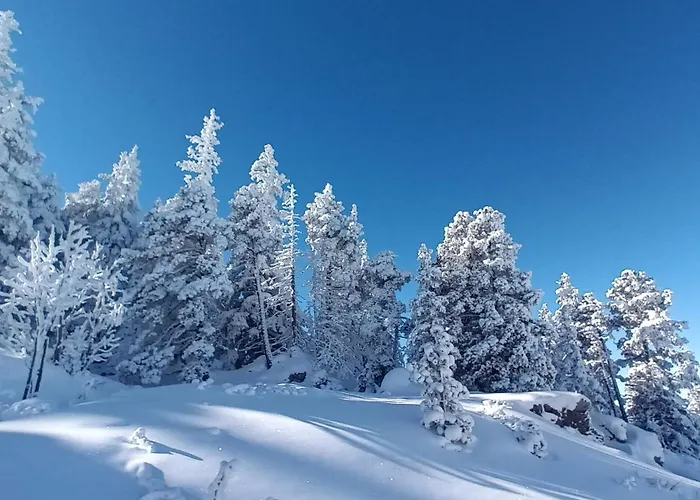 Au Chasseur