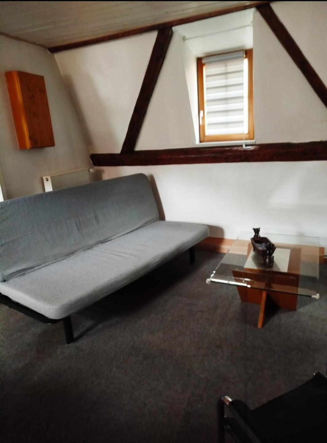 Appartement Au Chasseur Colmar