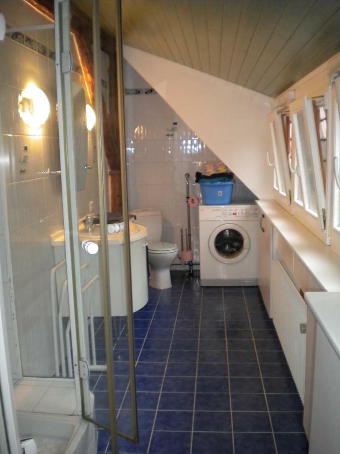 Au Chasseur Appartement Colmar
